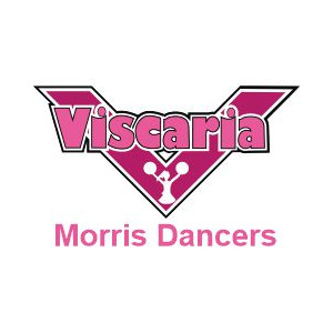 Viscaria Morris Dancers