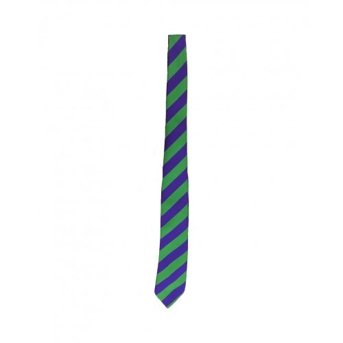 Bridgewater Park School Tie Purple/Green Standard 39"