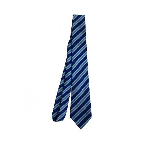 Oakdene School Tie - Standard 39"